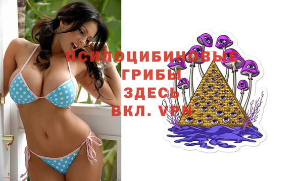 mix Гвардейск